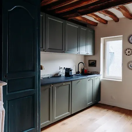 Le Cotin Bleu Duplex De Charme Vieille Vieux-marché Cathédrale * Rouen