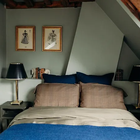 Le Cotin Bleu Duplex De Charme Vieille Vieux-marché Cathédrale Appartement *