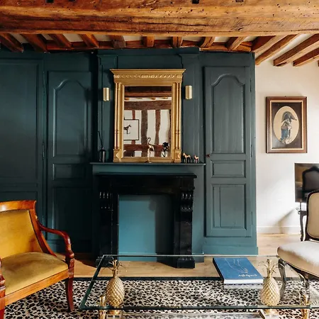 Le Cotin Bleu Duplex De Charme Vieille Vieux-marché Cathédrale *